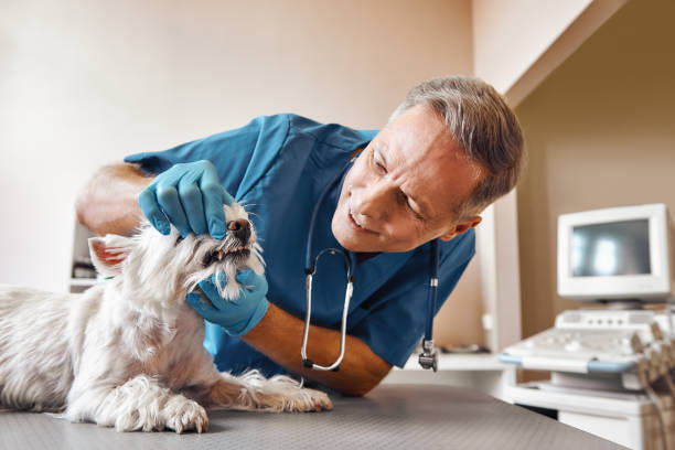 Best Emergency Wisdom Teeth Removal in Fort Campbell North, KY